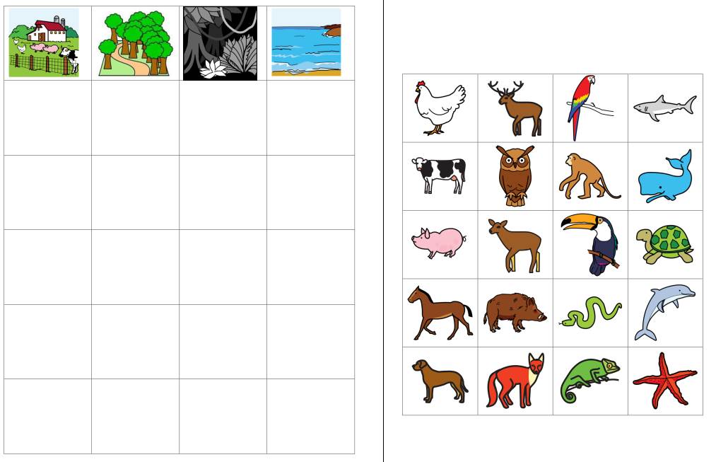 aufgabenmappe kategorien verschiedene tiere • Projekt - Aufgabenmappe