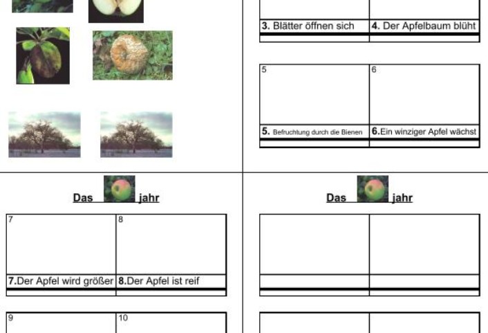 apfeljahr &bull; Das Apfeljahr