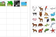 aufgabenmappe kategorien verschiedene tiere • Aufgabenmappe - Kategorien - verschiedene Tiere