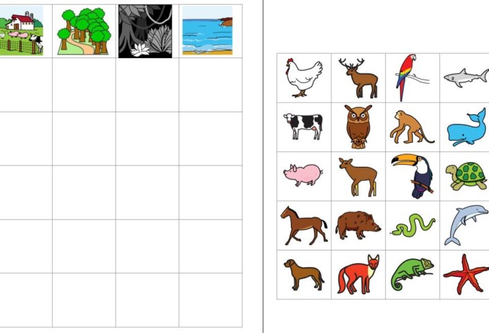 aufgabenmappe kategorien verschiedene tiere &bull; Aufgabenmappe - Kategorien - verschiedene Tiere