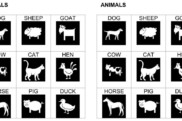 farm animals • Tier-Bingo