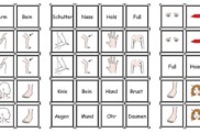 memorie koerperteile • Wort-Bild und Memorie Karten zu den Körperteilen