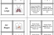 zuordnungskarten koerper • Zuordnungskarten - Organe, Bilder und ihre Funktionen