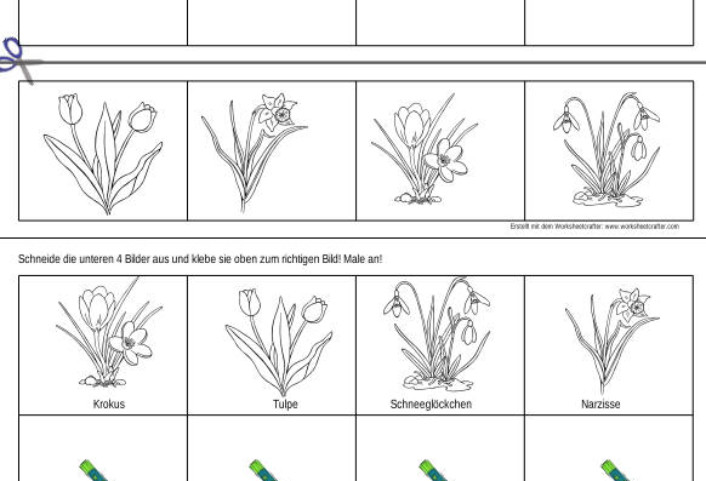fruehlingsbilder zuordnen • Frühlingsblumen Bild-zu-Bild-Zuordnung