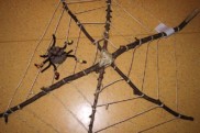 spinnennetz aus naturmaterial • Spinnennetz aus Naturmaterial