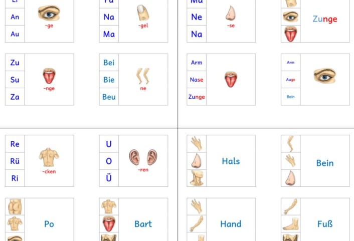 klammerkarten silben koerper • Klammerkarten - Silben und Wörter mein Körper