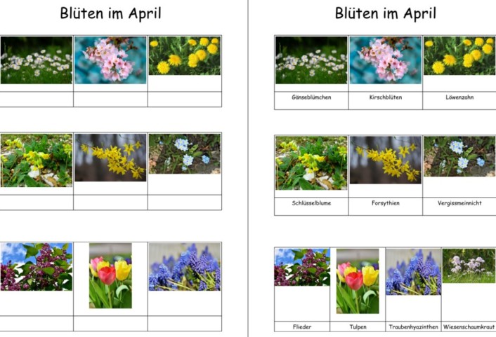 blueten im april • Blüten im April