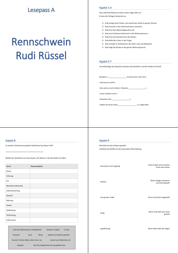 lesepass rennschwein rudi ruessel • Lesepass für das Buch Rennschwein Rudi Rüssel