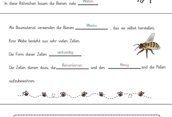 wsc go bienen wissen • Bienenwissen - Worksheet Go!