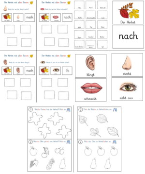 Der Herbst mit allen Sinnen • gpaed.de