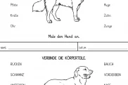 hund koerperteile verbinden • Hund - Körperteile verbinden