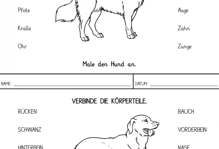 hund koerperteile verbinden • Hund - Körperteile verbinden