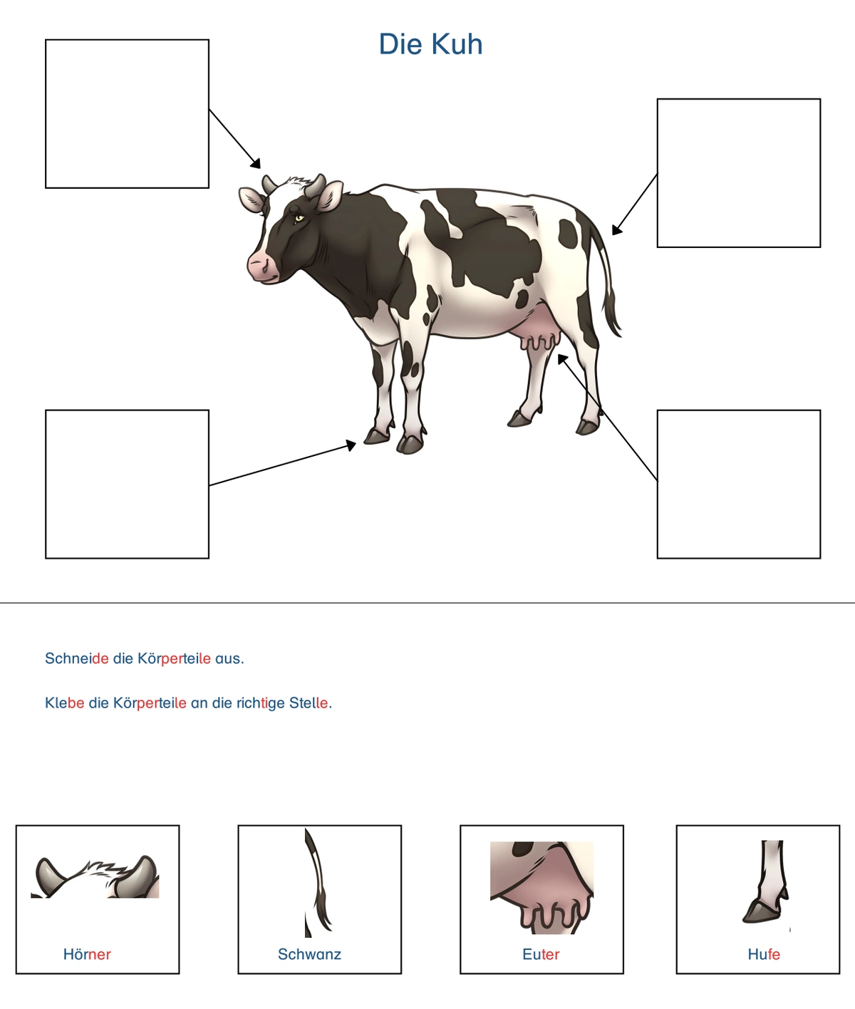 merkmale kuh • Die Merkmale der Kuh