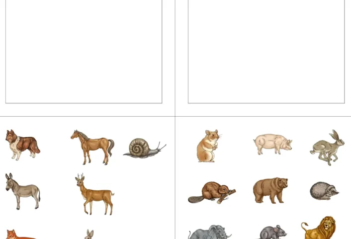 aufgabenmappe links rechts tiere • Aufgabenmappe links oder rechts - Tiere