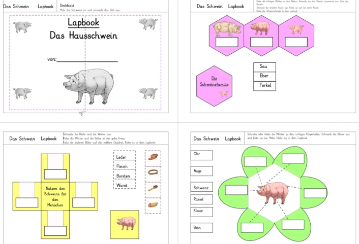 lapbook schwein • Lapbook Schwein