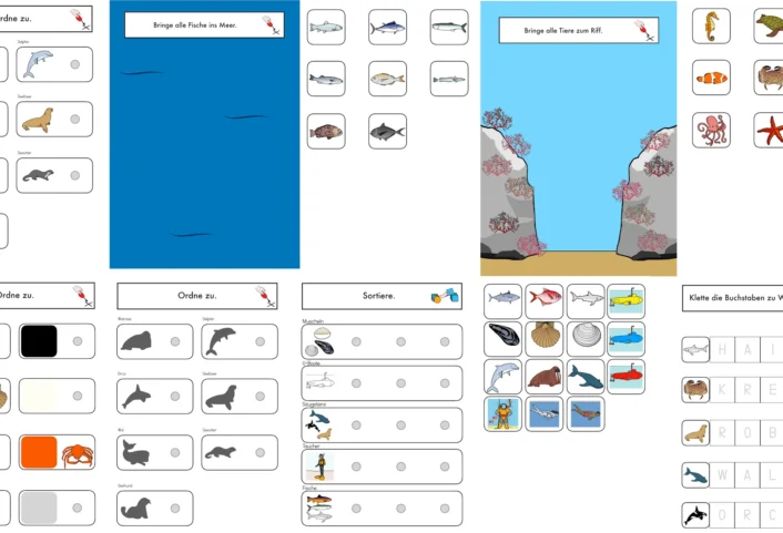 aufgabenmappen meerestiere • Aufgabenmappen – Konvolut – Lebensraum Meer