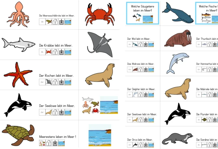 mitmach buch meerestiere • Klett- und Mitmachbuch – Meerestiere