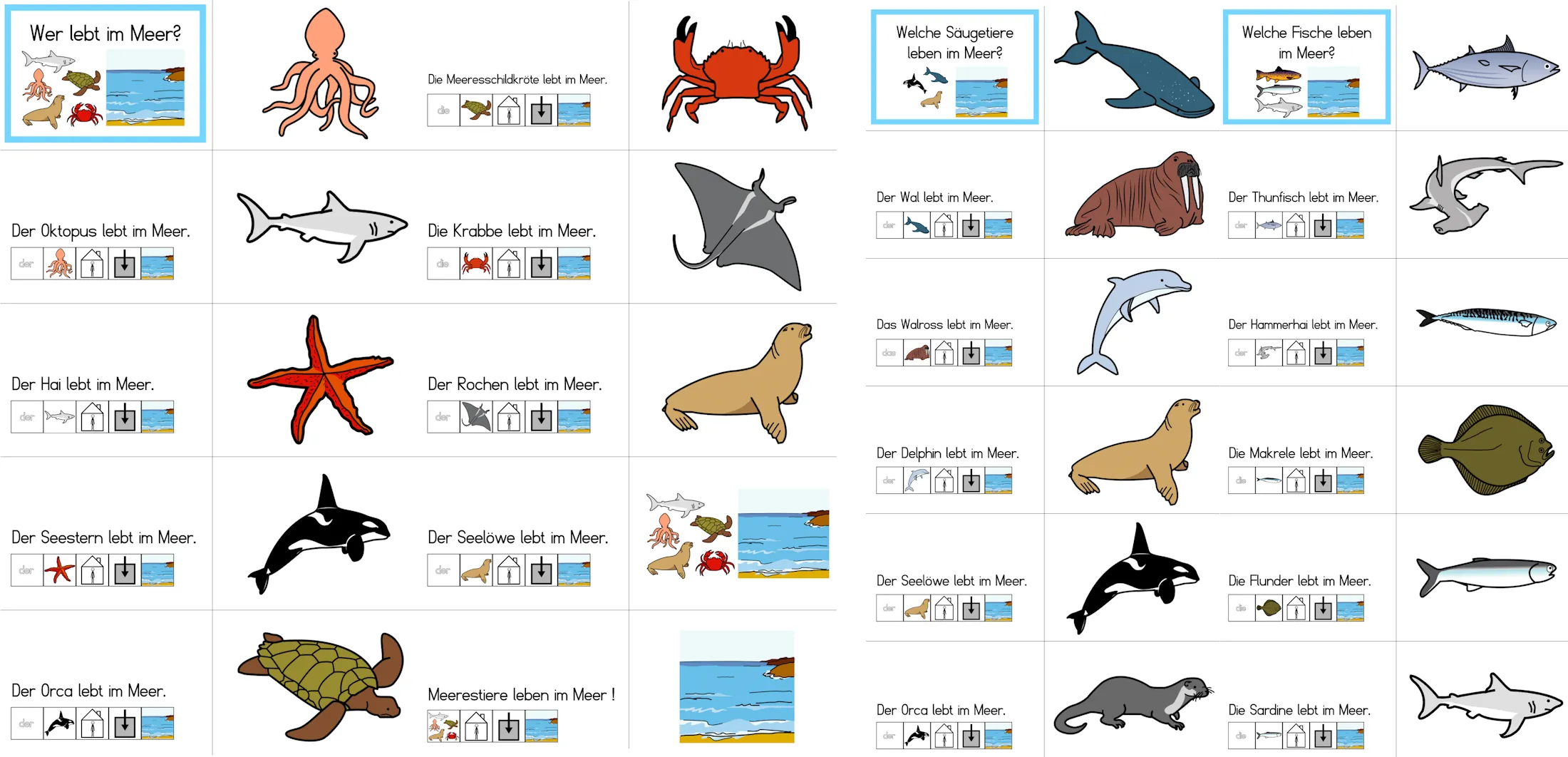 mitmach buch meerestiere • Klett- und Mitmachbuch – Meerestiere