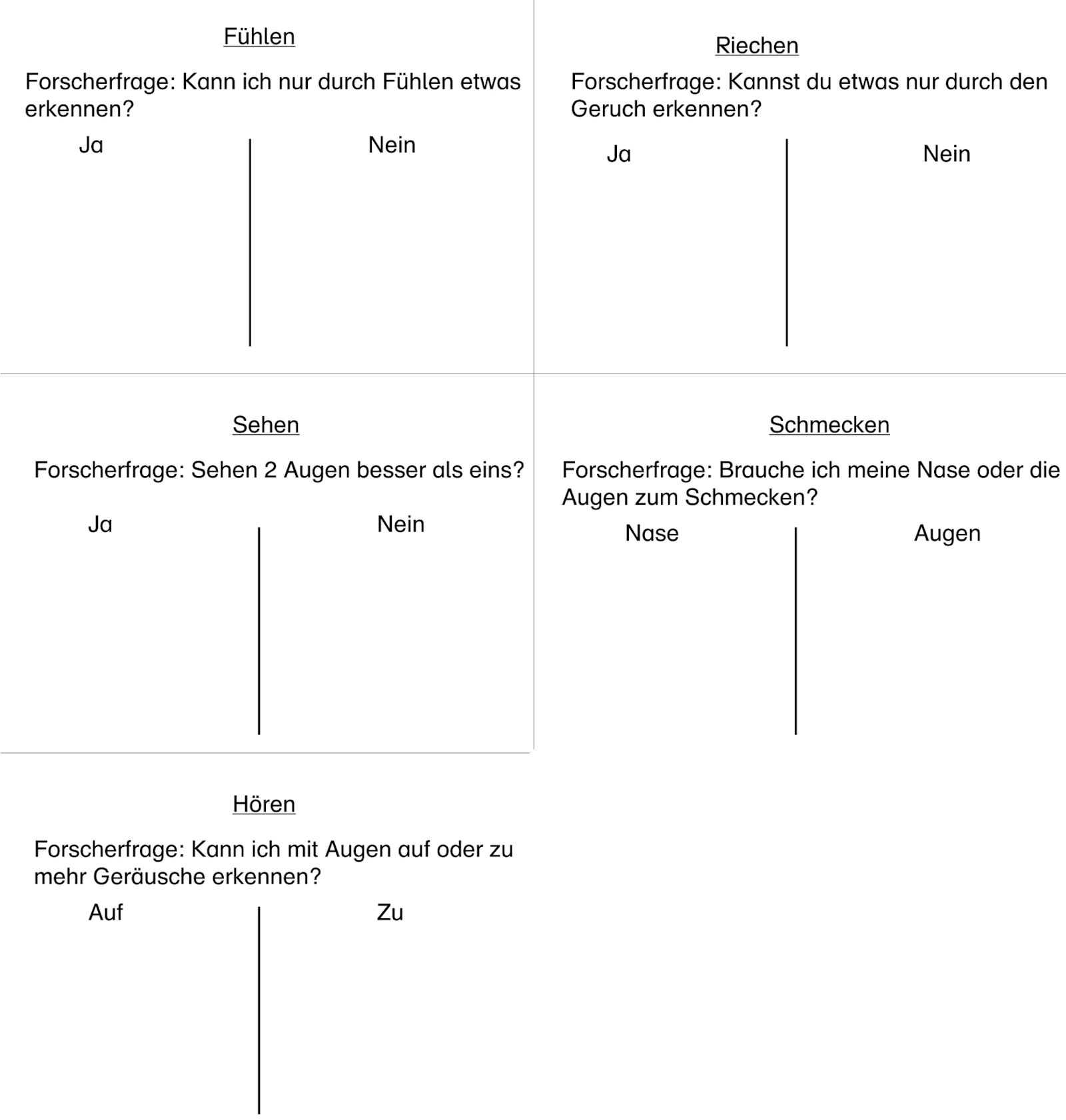 forscherfragen alle sinne • Forscherfragen Sinne