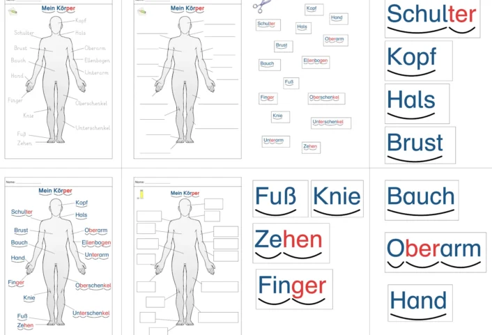 ab koerperumriss • Die Körperteile