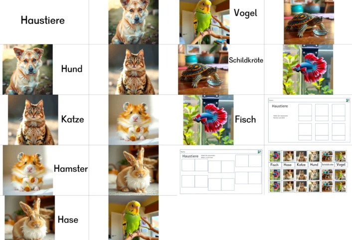haustiere ki bilder und ab • Haustiere mit Arbeitsblatt